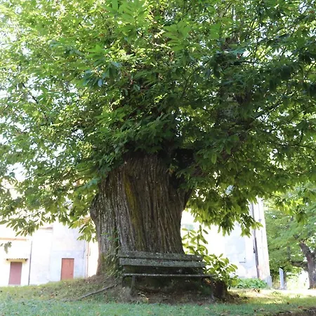 Kadevi -centralissimo, Parcheggio Gratuito A 200m , Bici Disponibili *