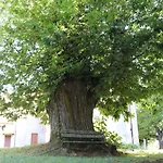 Kadevi -centralissimo, Parcheggio Gratuito , Bici Disponibili *