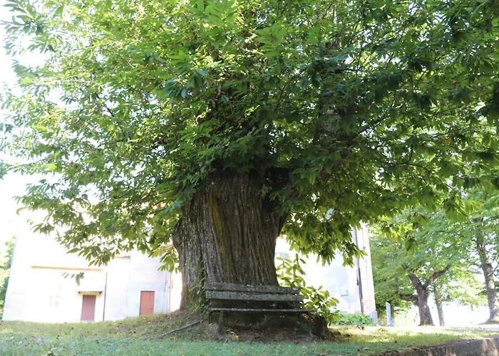 Kadevi -centralissimo, Parcheggio Gratuito , Bici Disponibili *